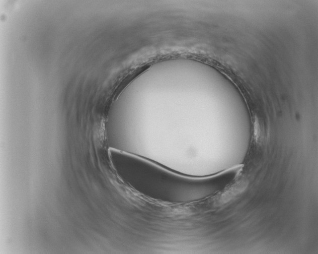 X0000059851492200511111757