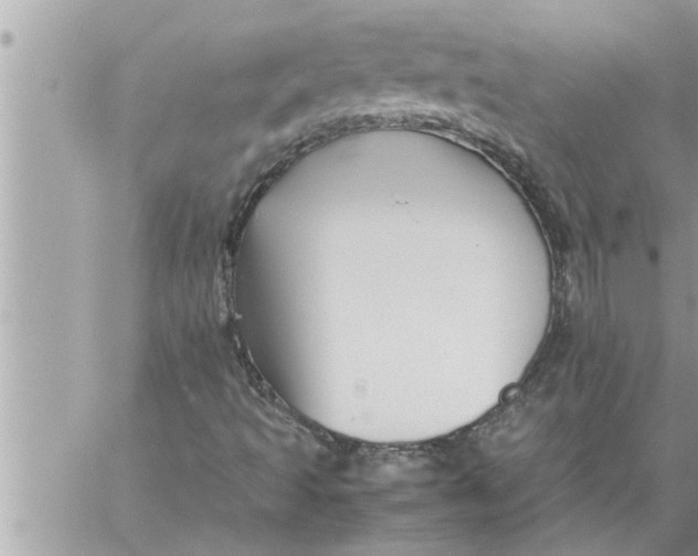 X0000059851493200511111757