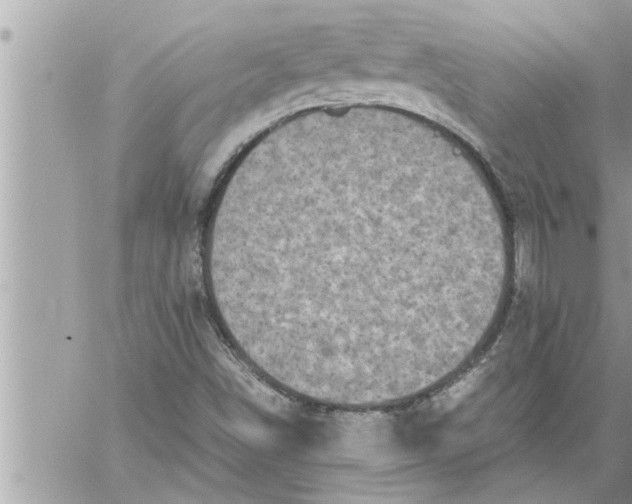 X0000059851498200511111757