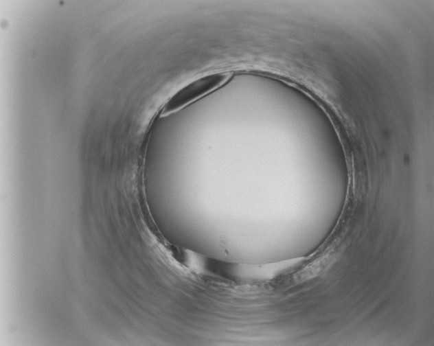 X0000059851500200511111757