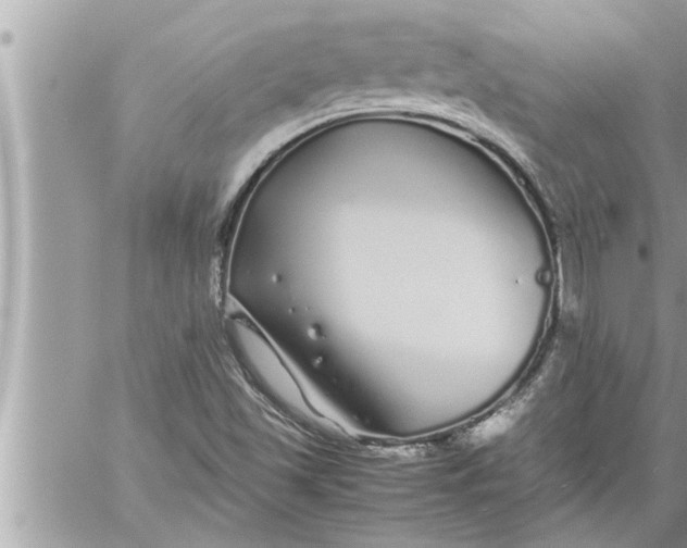 X0000059851501200511111757