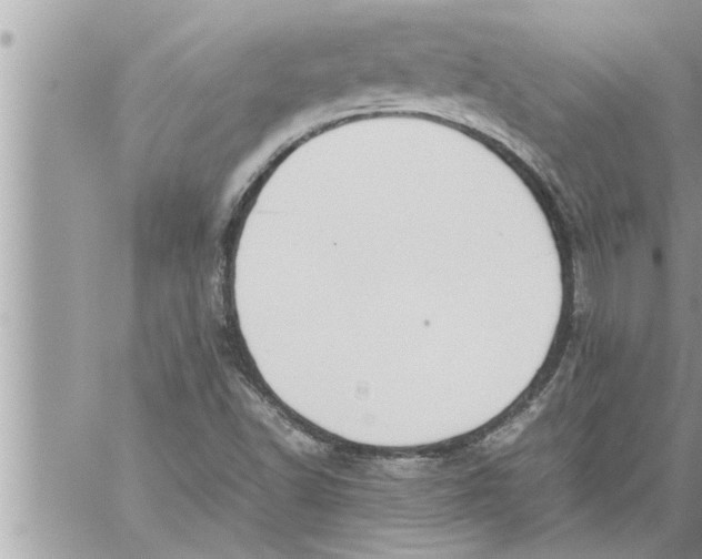 X0000059851502200511111757