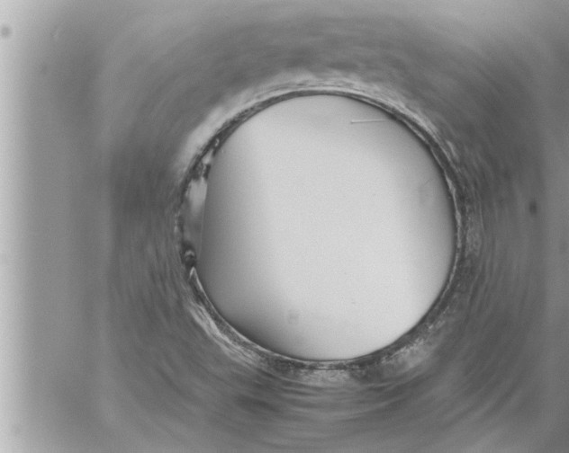 X0000059851503200511111757