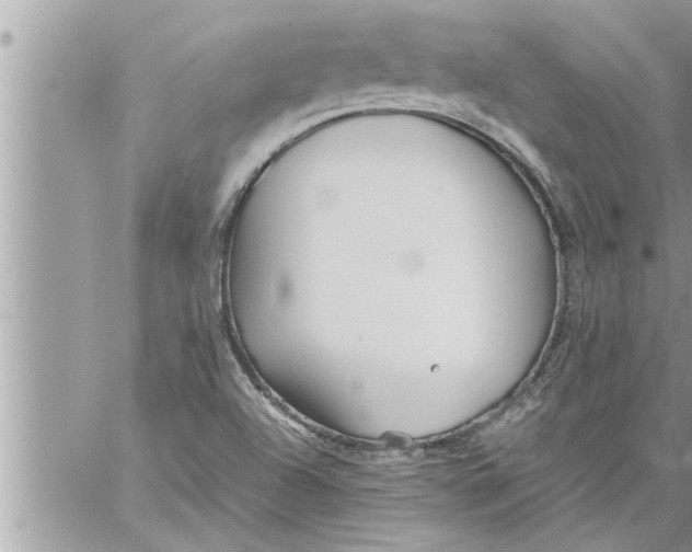 X0000059851504200511111757