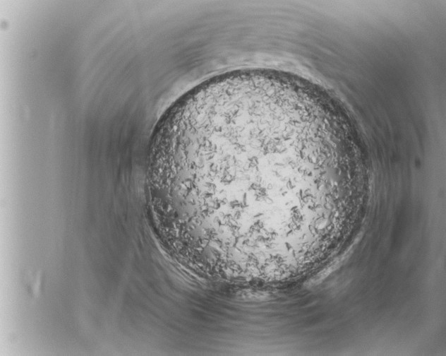 X0000059851505200511111757