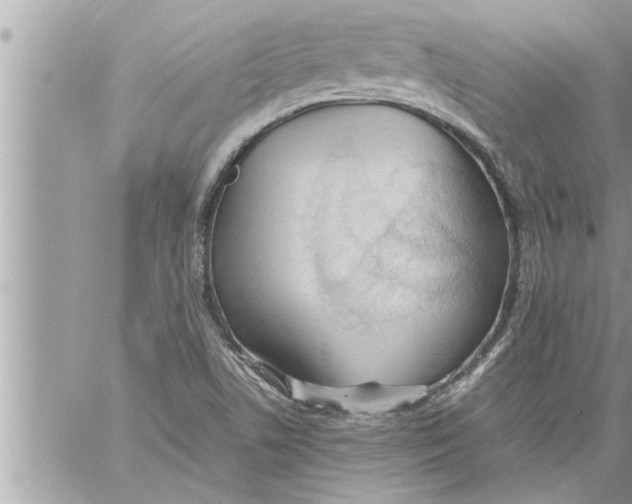 X0000059851506200511111757