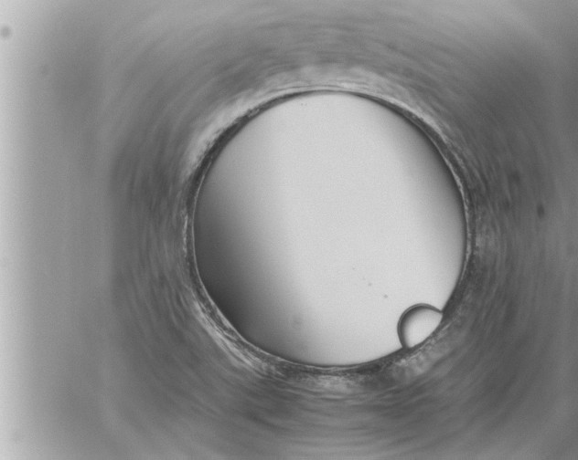 X0000059851507200511111757