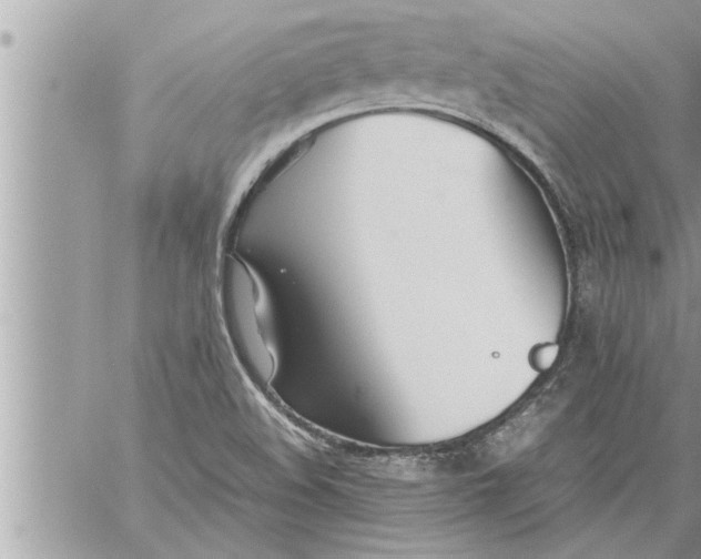 X0000059851508200511111757