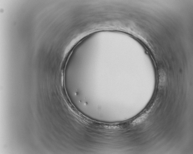 X0000059851509200511111757