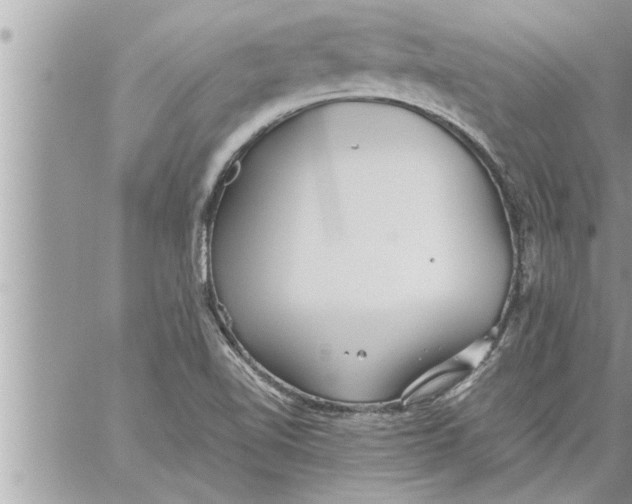 X0000059851510200511111757