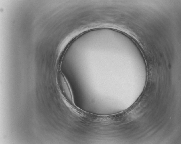 X0000059851511200511111757