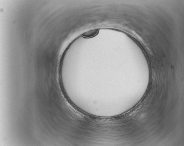 X0000059851512200511111757