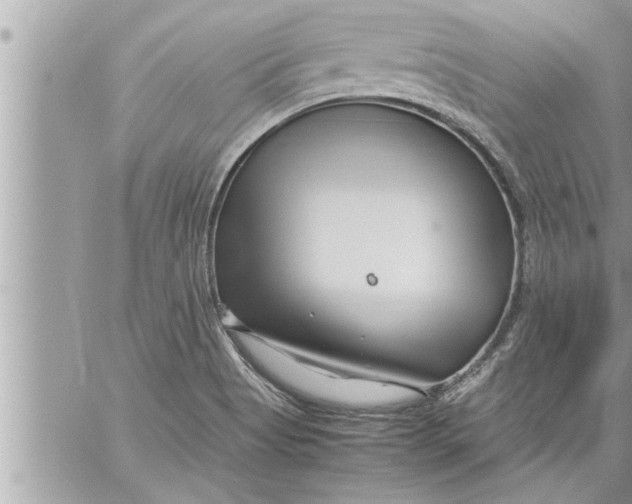 X0000059851513200511111757