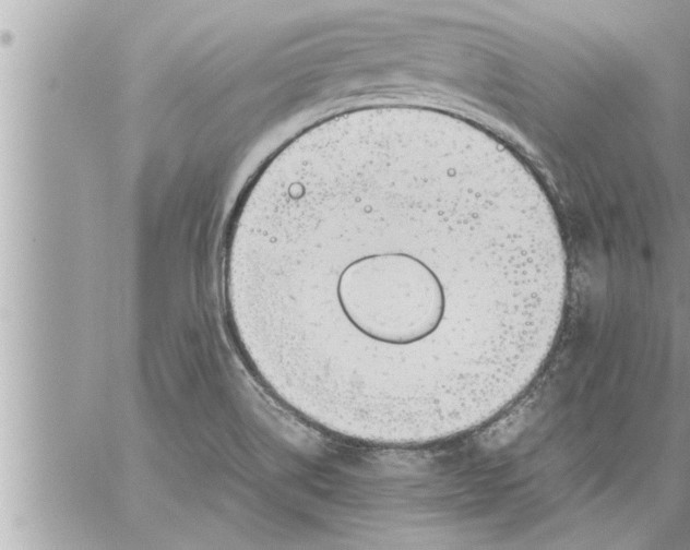 X0000059851514200511111757