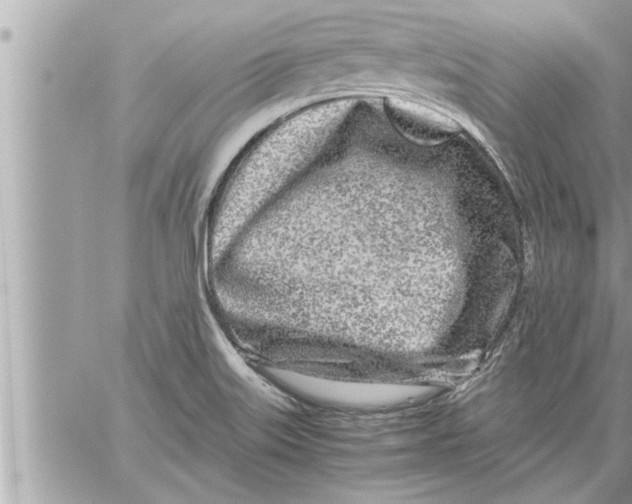 X0000059851515200511111757