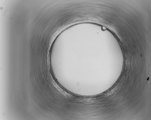 X0000059851516200511111758