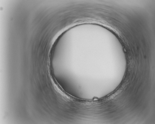 X0000059851518200511111758