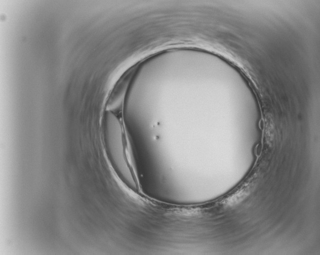 X0000059851519200511111758