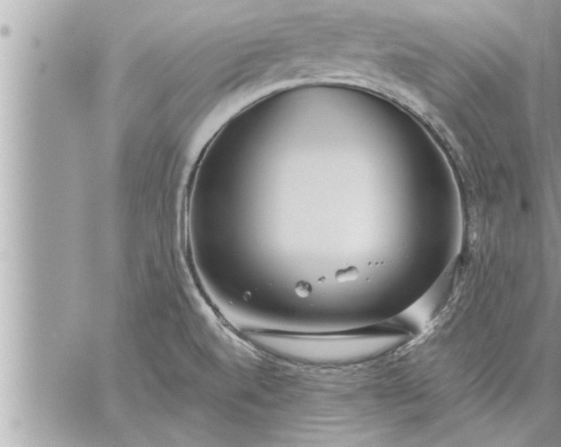 X0000059851520200511111758