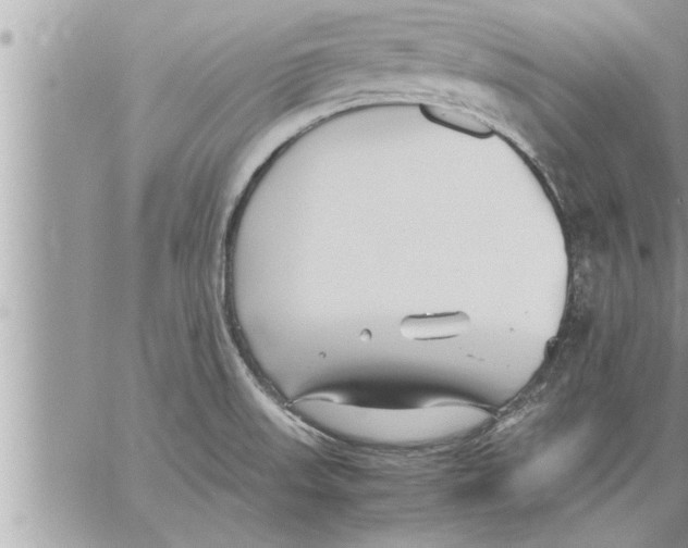 X0000059851523200511111758