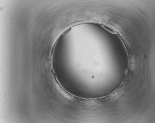 X0000059851524200511111758