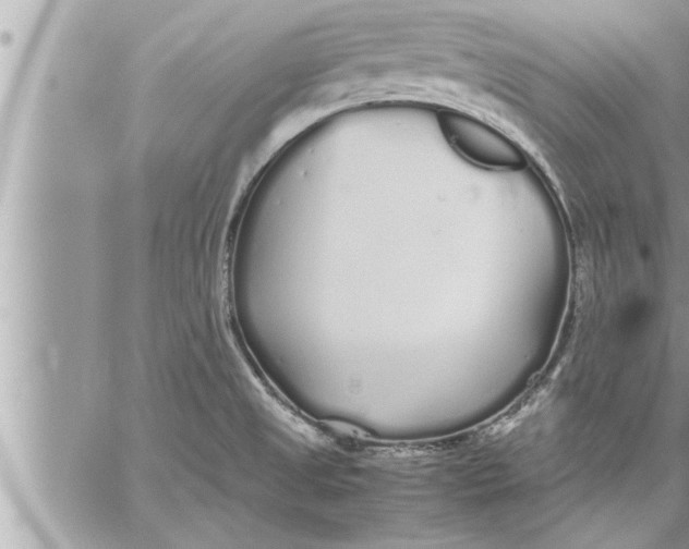 X0000059851525200511111758