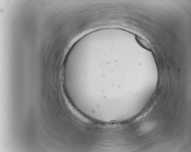 X0000059851526200511111758