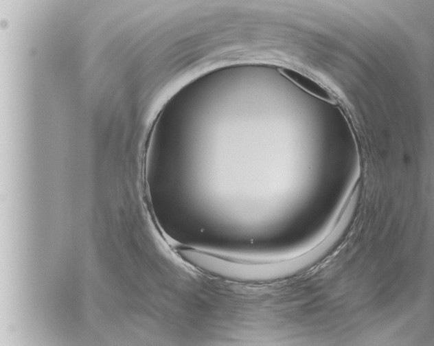 X0000059851528200511111758