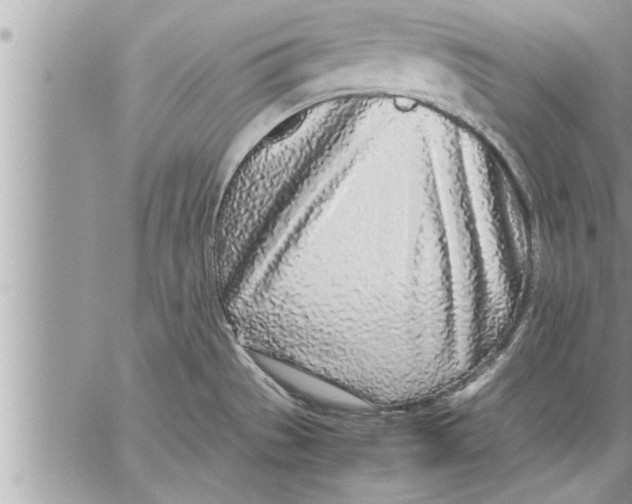 X0000059851529200511111758