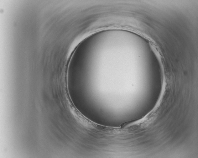 X0000059851530200511111758