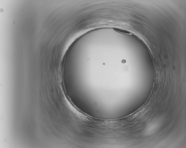 X0000059851531200511111758