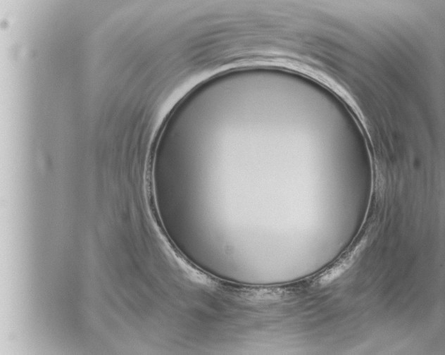 X0000059851533200511111758