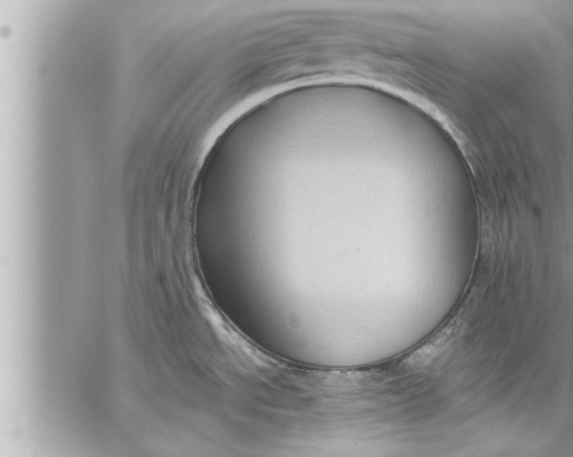 X0000059851534200511111758