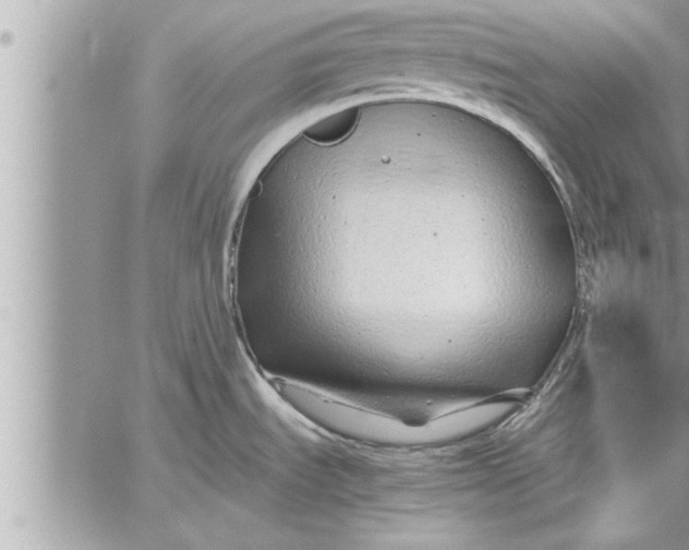 X0000059851535200511111758