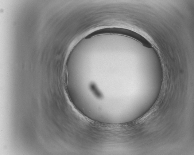 X0000059851536200511111758