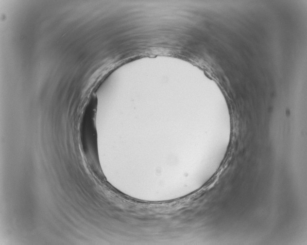 X0000059850001200511181550