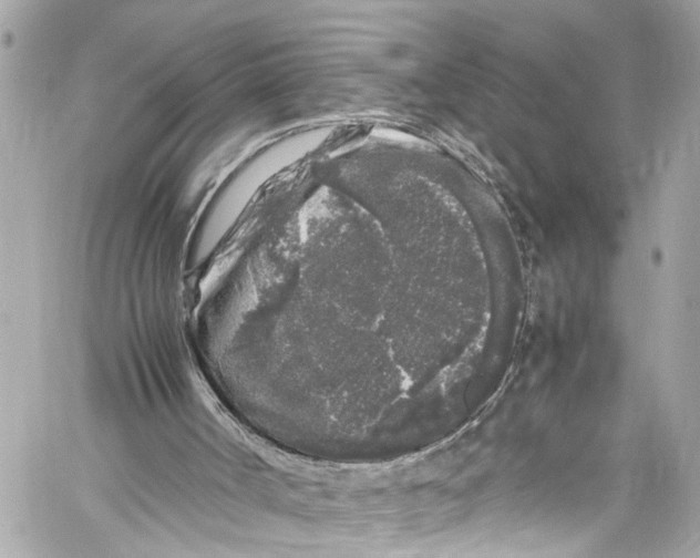 X0000059850002200511181550