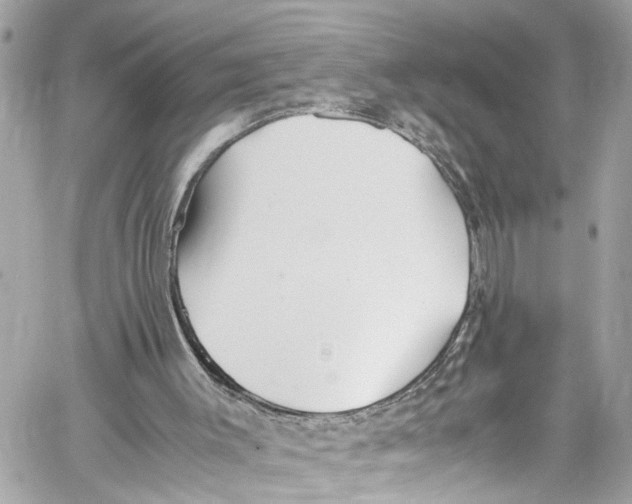 X0000059850003200511181550