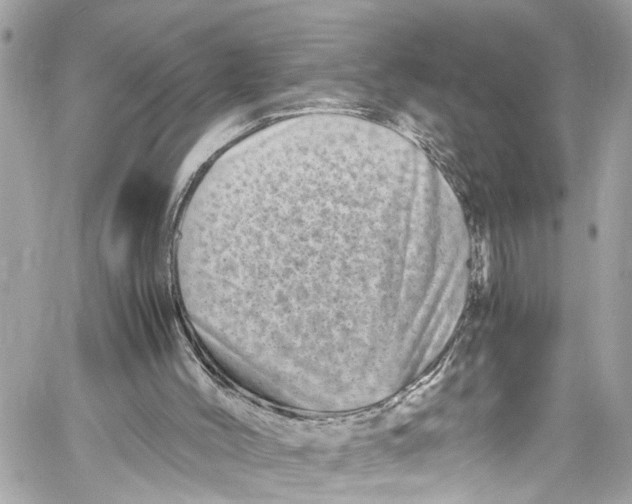 X0000059850004200511181550