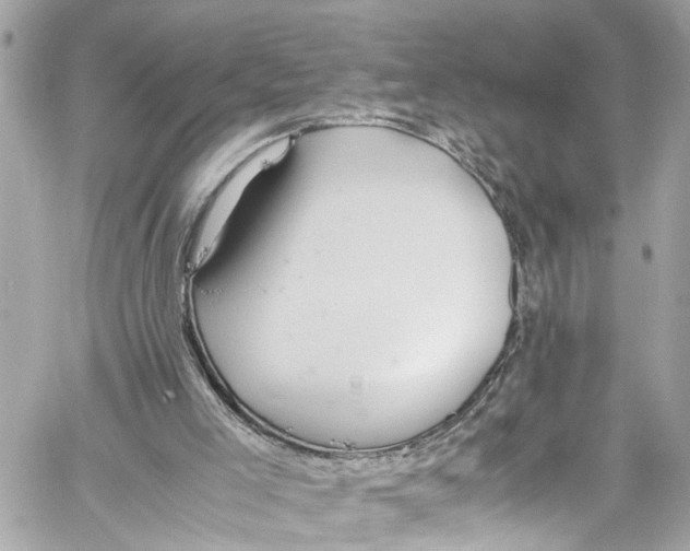 X0000059850005200511181550