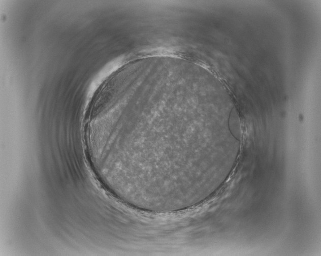 X0000059850006200511181550