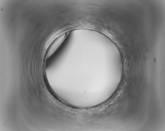 X0000059850007200511181550