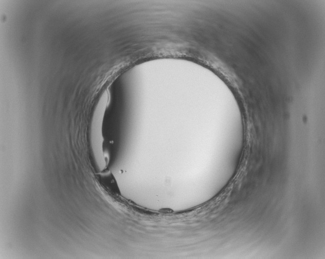 X0000059850009200511181550