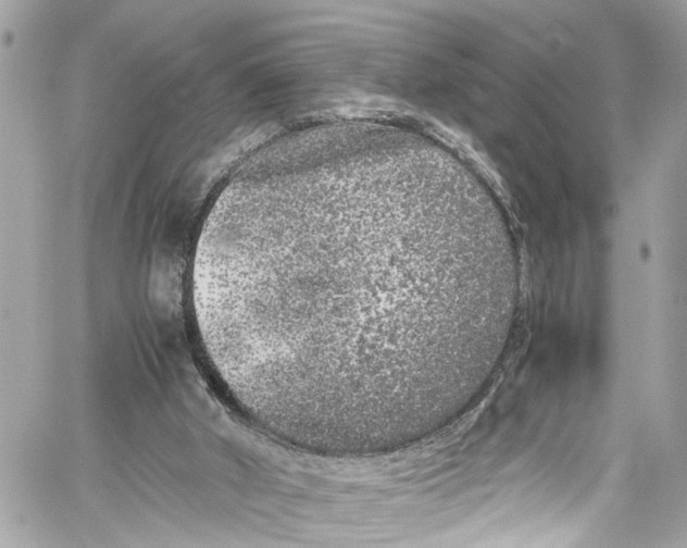 X0000059850010200511181550