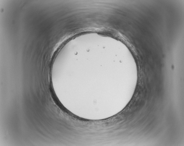 X0000059850011200511181550