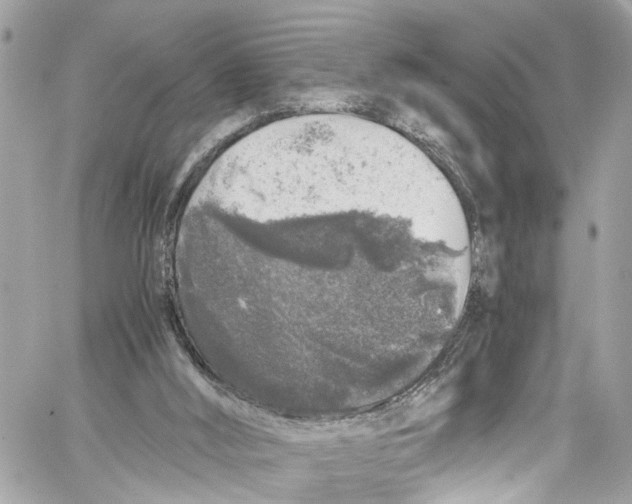 X0000059850012200511181550