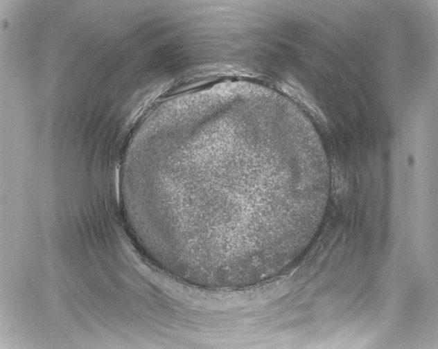 X0000059850014200511181550