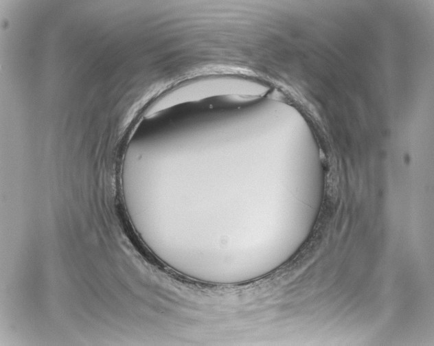 X0000059850015200511181550