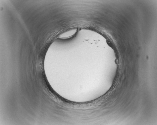 X0000059850017200511181550