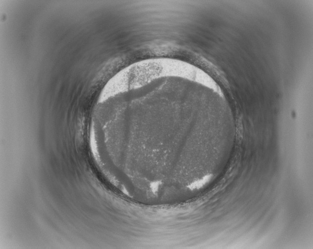 X0000059850018200511181550